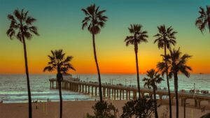 A sunset that fades from like blue to orange with palm trees infront of it and people standing on the pier and watching at Venice Beach near Los Angeles, California, USA